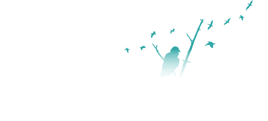 Jack Cartwright