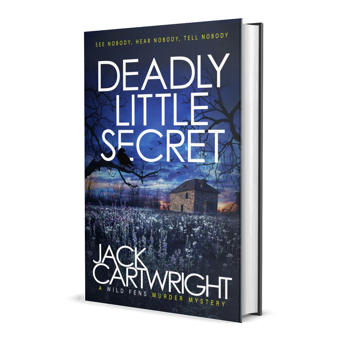 Deadly Little Secret, signed hardback by Jack Cartwright