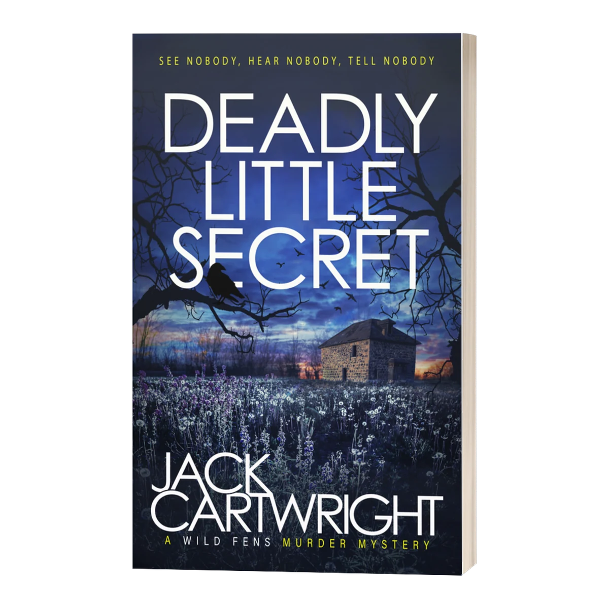 Deadly Little Secret, signed paperback by Jack Cartwright